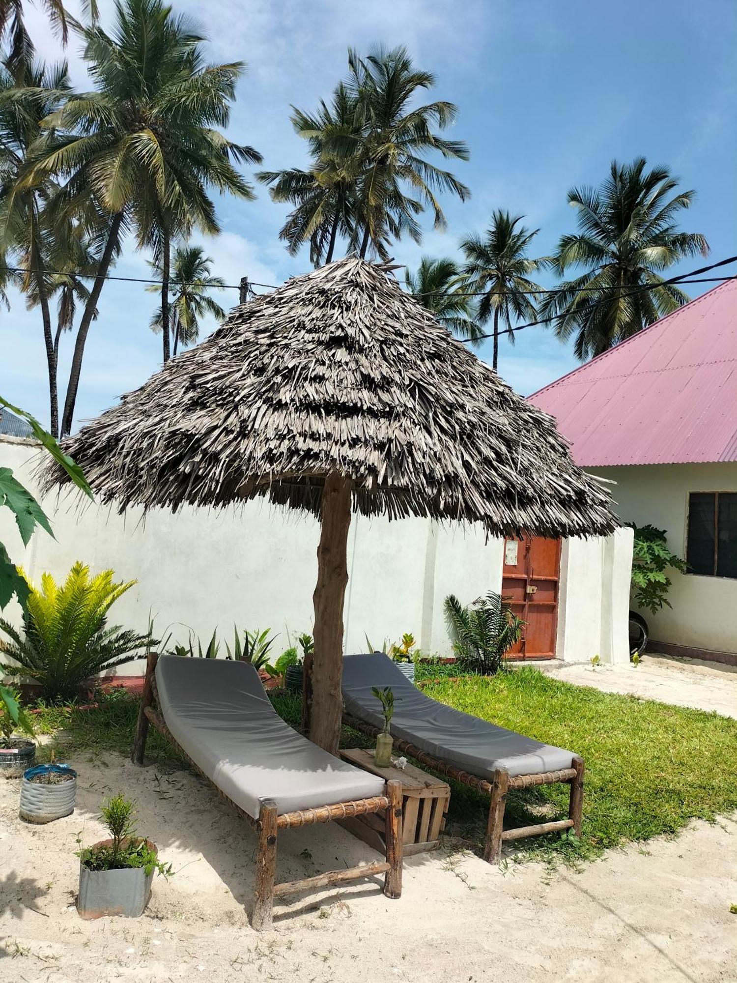 Mambo Leo Hostel Paje Dış mekan fotoğraf