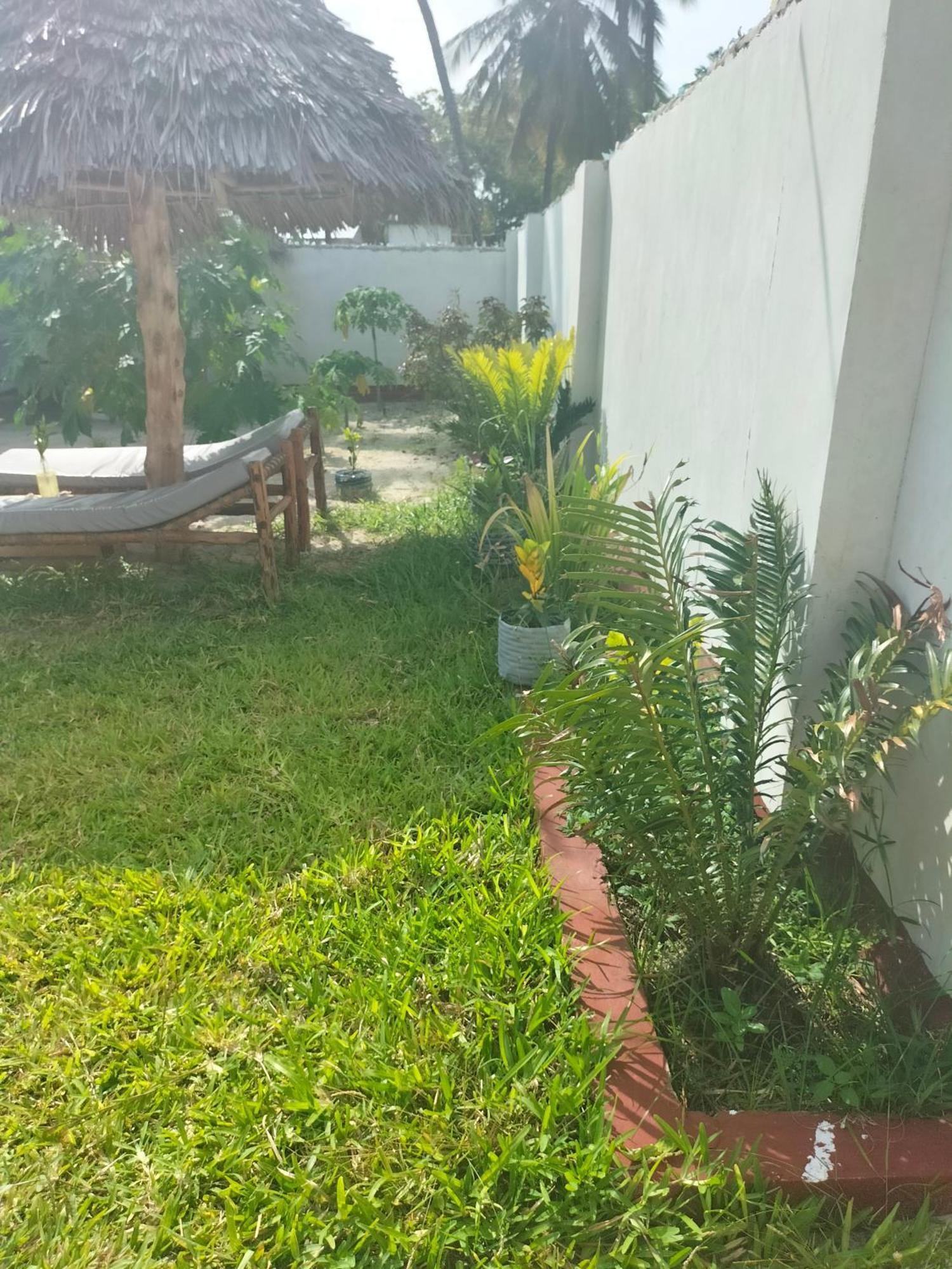 Mambo Leo Hostel Paje Dış mekan fotoğraf